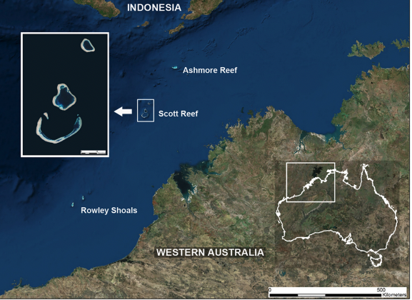 Scott Reef and Rowley Shoals lie 250 km off Australia’s northwestern coast.  Image Credit: Taryn Foster